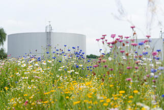 Volkswagen Slovakia can treat wastewater in the volume of one Olympic swimming pool every day