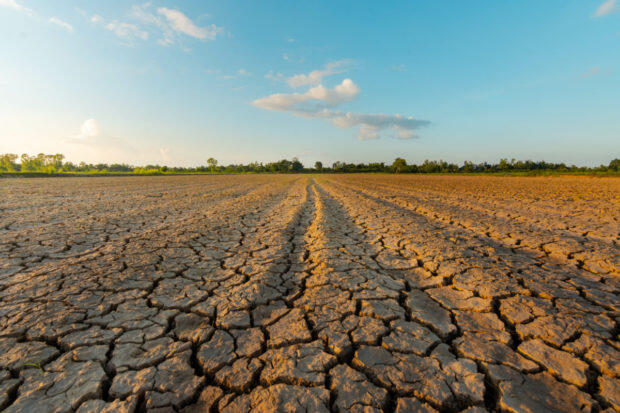 Kaufland and Lidl want to significantly reduce the production of operational CO2 emissions Kaufland and Lidl want to significantly reduce the production of operational CO2 emissions